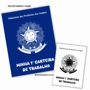 MINHA PRIMEIRA CARTEIRA DE TRABALHO