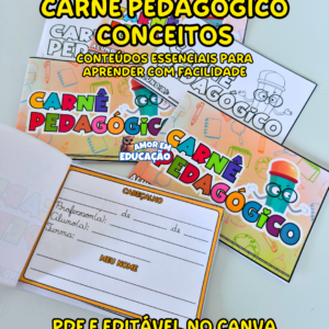 CARNÊ PEDAGÓGICO - CONCEITOS